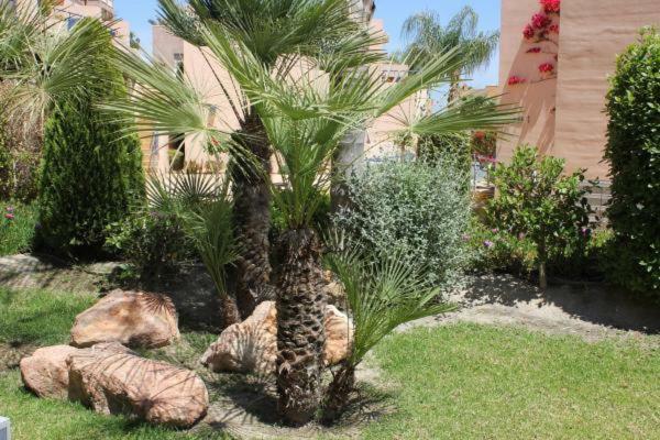 شقة Atalaya Graceful موخاكار المظهر الخارجي الصورة